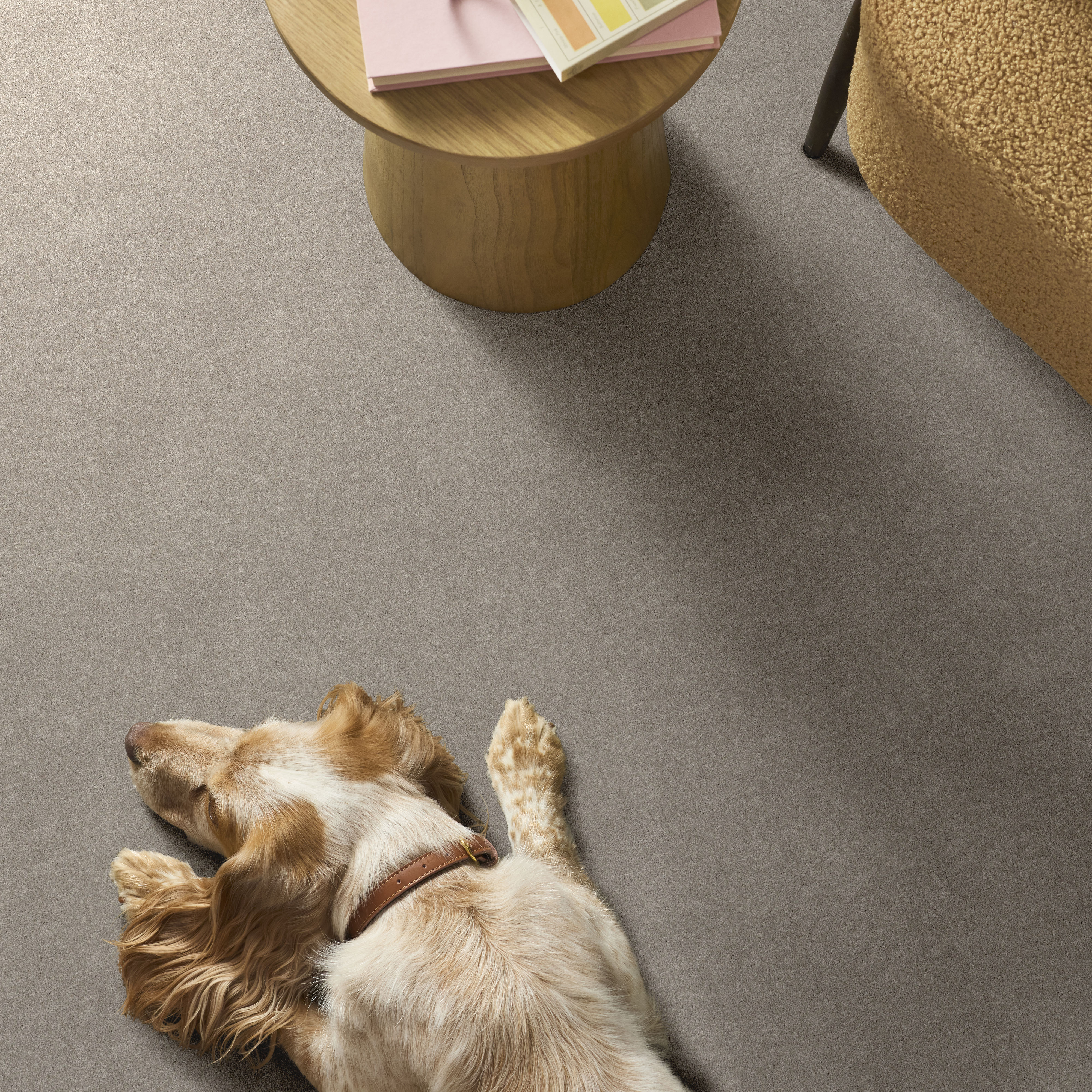 Vivid Touch I - Chic Taupe Carpet | Shaw Floors